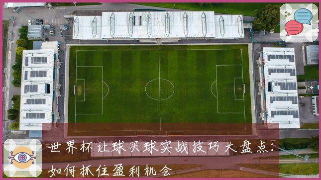 世界杯让球买球实战技巧大盘点：如何抓住盈利机会