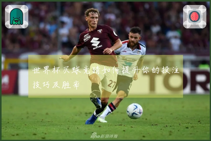 世界杯买球竞猜如何提升你的投注技巧及胜率