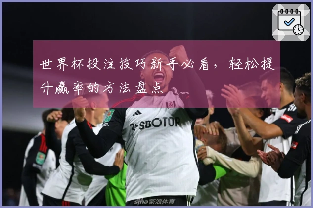 世界杯投注技巧新手必看，轻松提升赢率的方法盘点