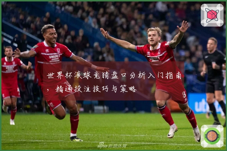 世界杯滚球竞猜盘口分析入门指南，精通投注技巧与策略