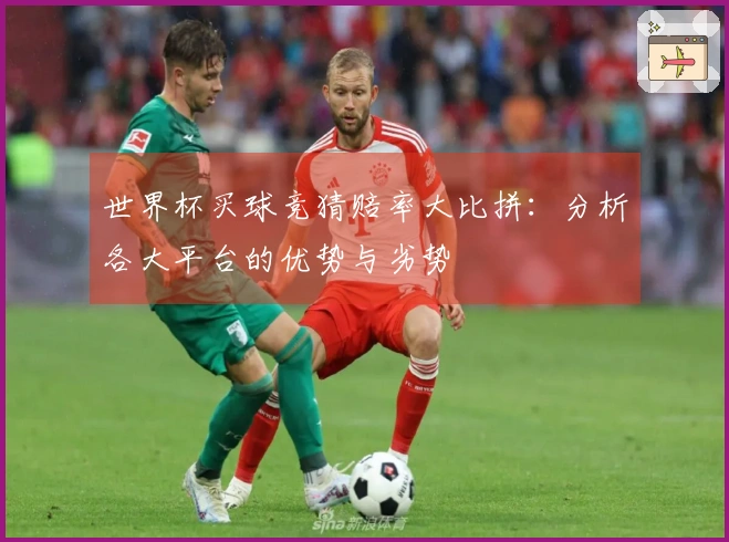 世界杯买球竞猜赔率大比拼：分析各大平台的优势与劣势