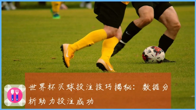 世界杯买球投注技巧揭秘：数据分析助力投注成功