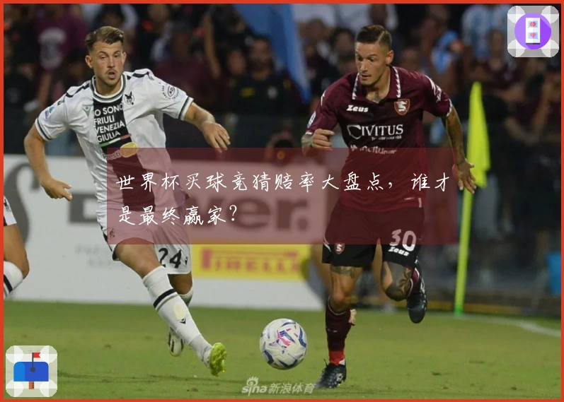 世界杯买球竞猜赔率大盘点，谁才是最终赢家？
