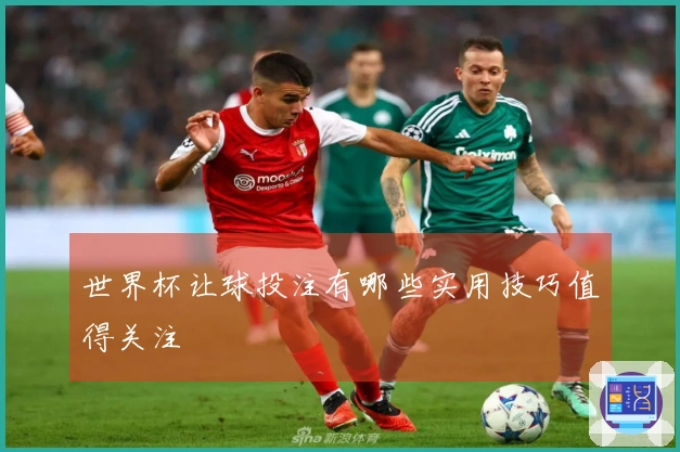 世界杯让球投注有哪些实用技巧值得关注