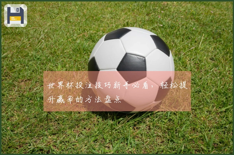 世界杯投注技巧新手必看，轻松提升赢率的方法盘点