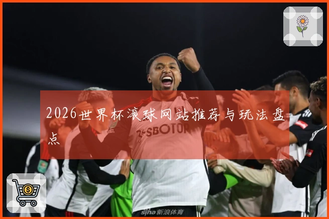 2026世界杯滚球网站推荐与玩法盘点
