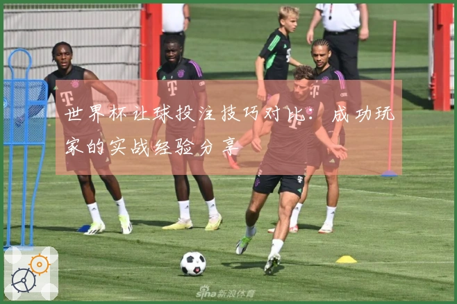 世界杯让球投注技巧对比：成功玩家的实战经验分享