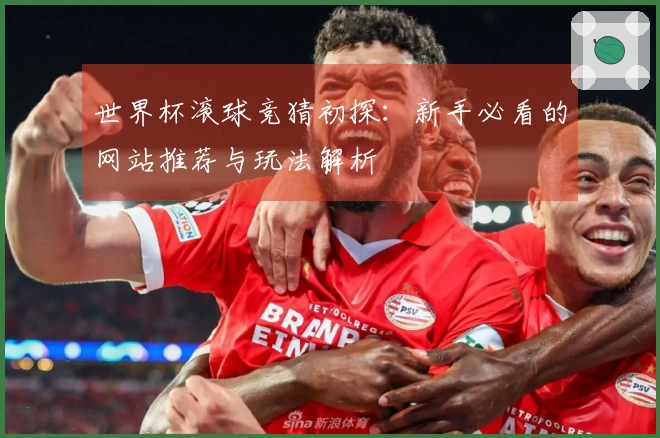 世界杯滚球竞猜初探：新手必看的网站推荐与玩法解析