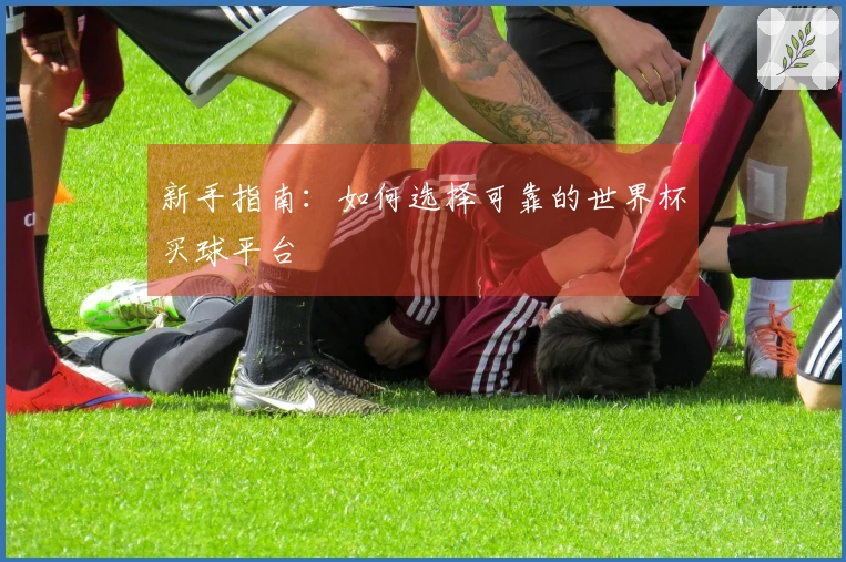 新手指南：如何选择可靠的世界杯买球平台